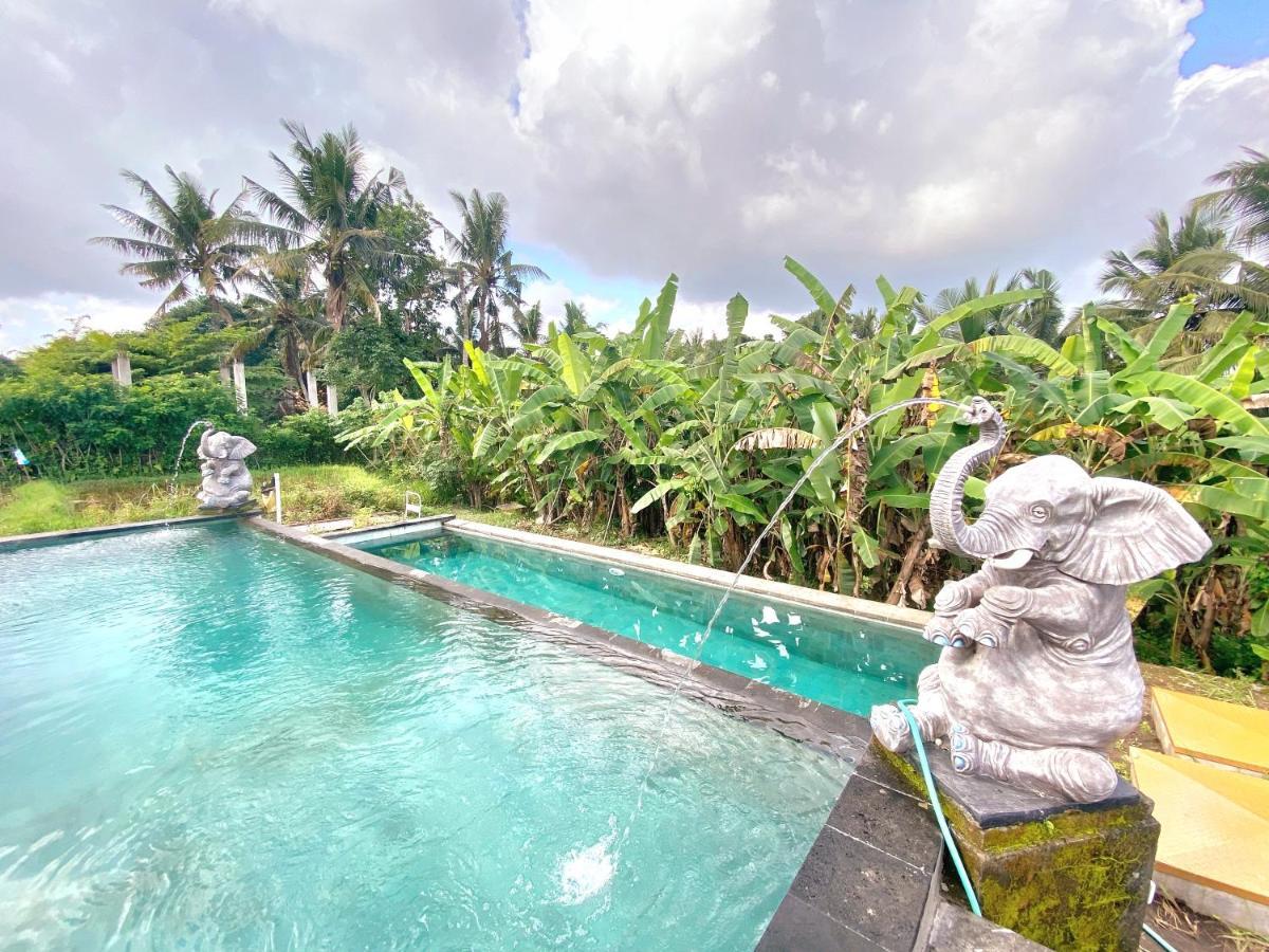 Ubud Rice Field House Kültér fotó
