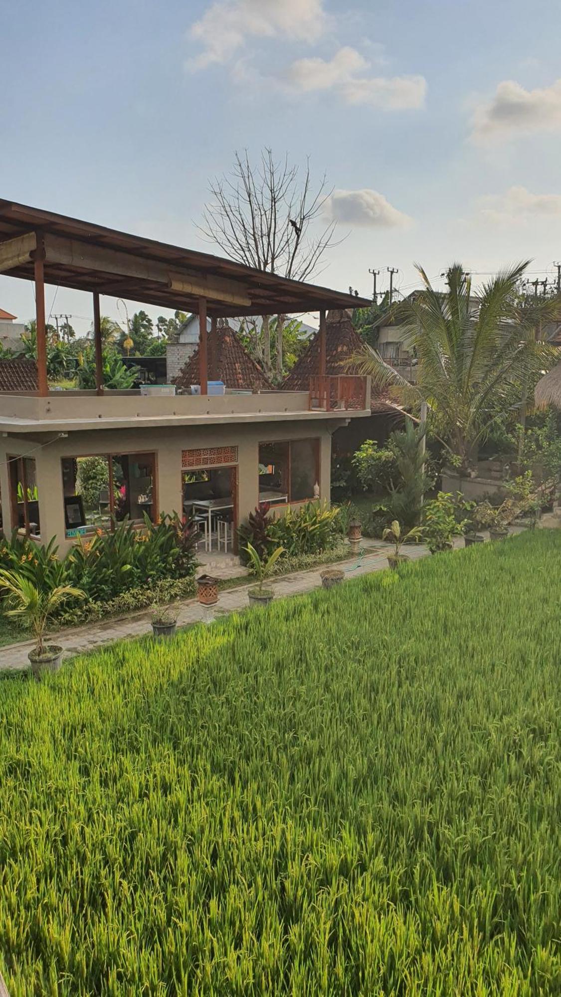 Ubud Rice Field House Kültér fotó