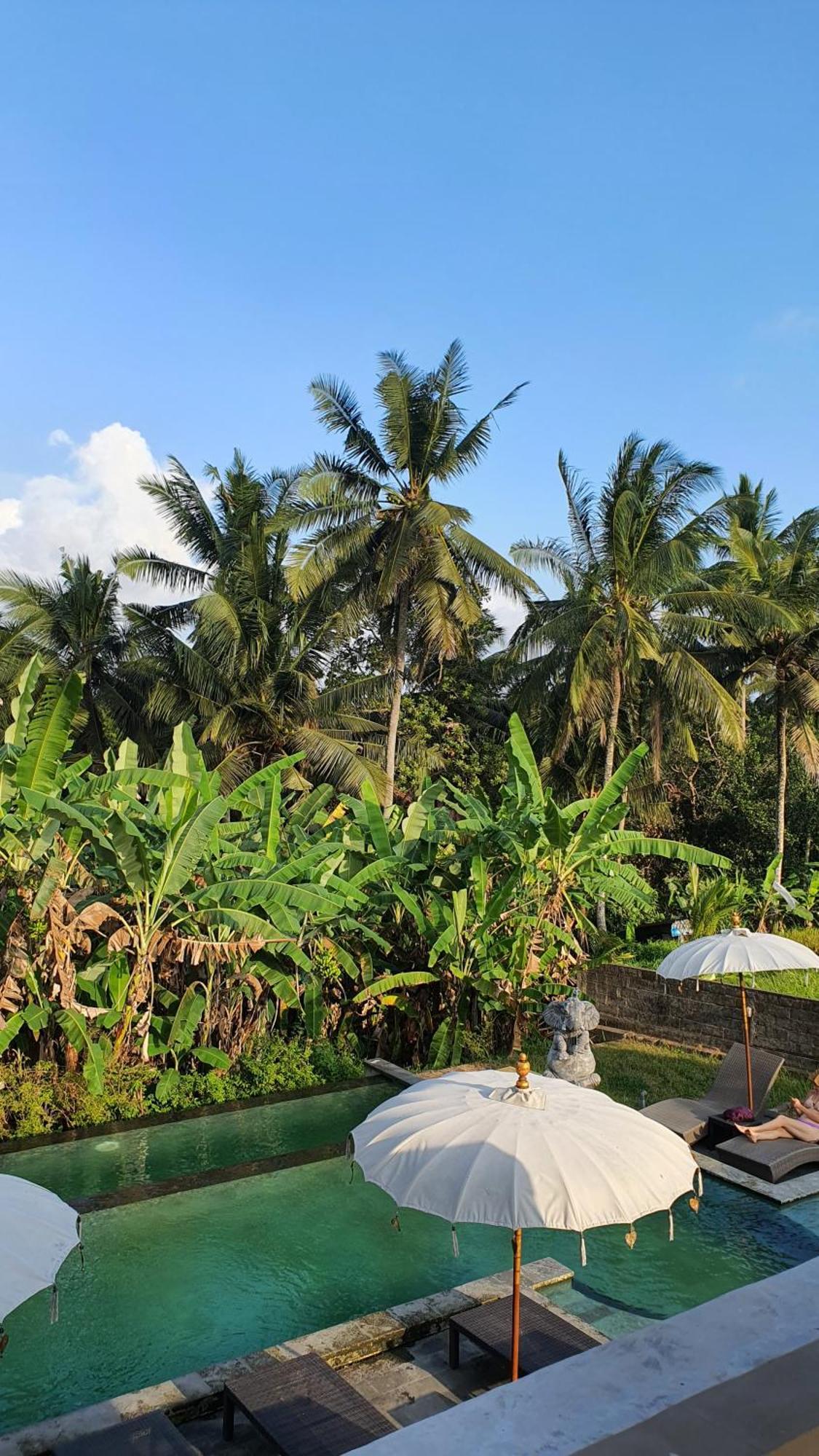 Ubud Rice Field House Kültér fotó